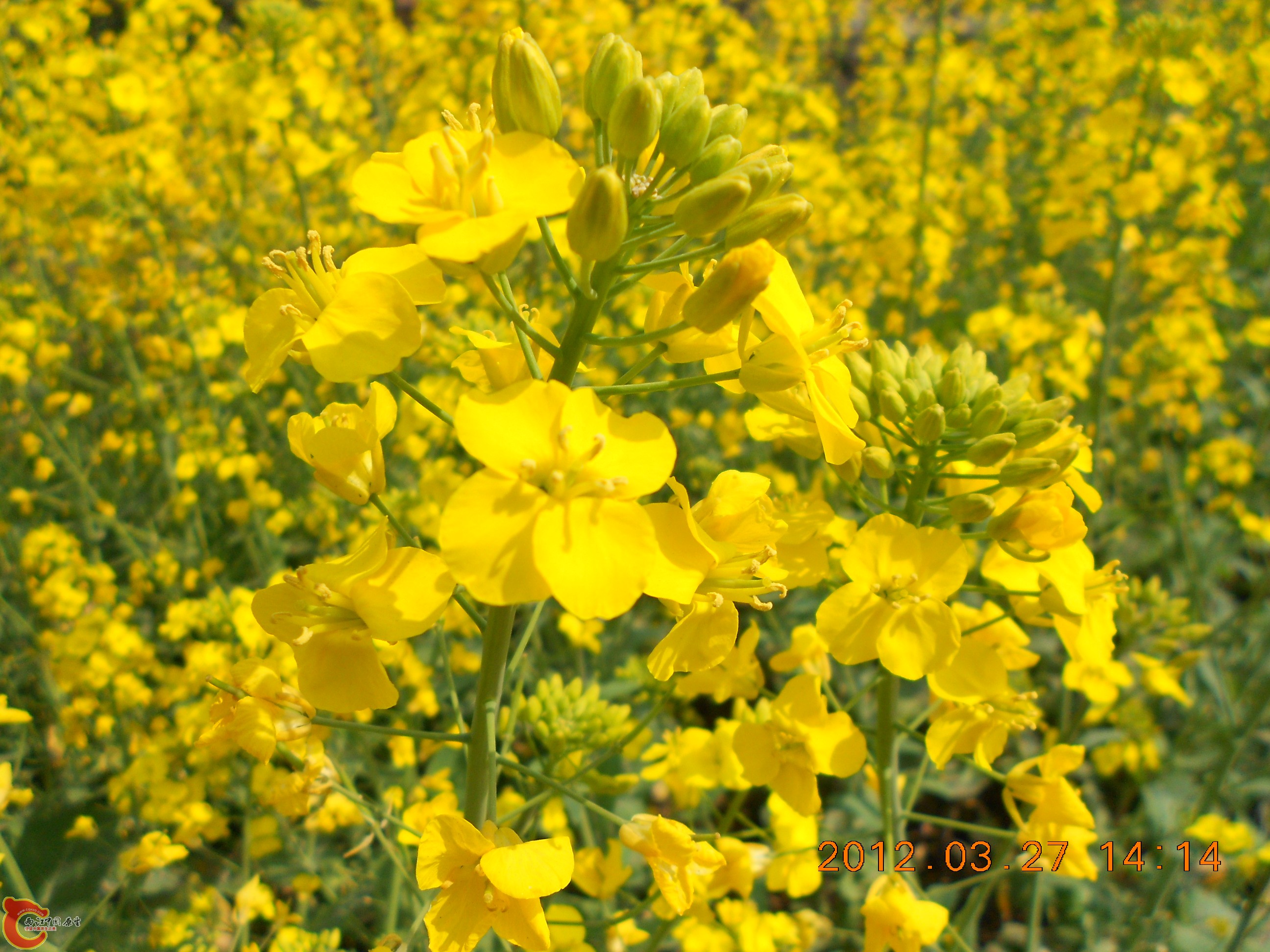 DSCN2931.JPG