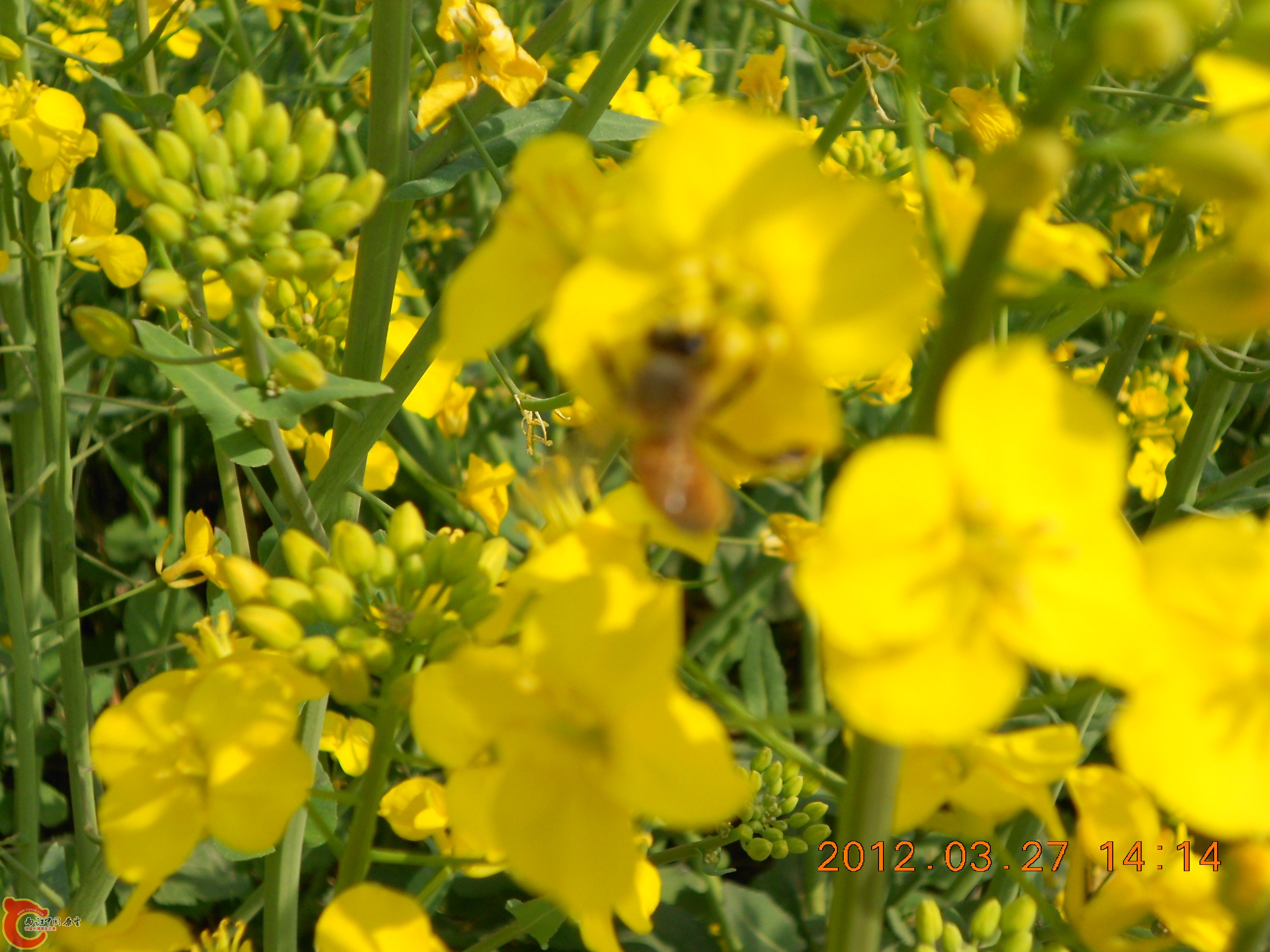 DSCN2932.JPG
