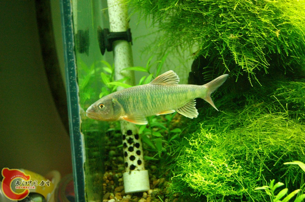 DSC_1152.JPG