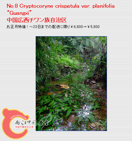 QQ截图未命名.png