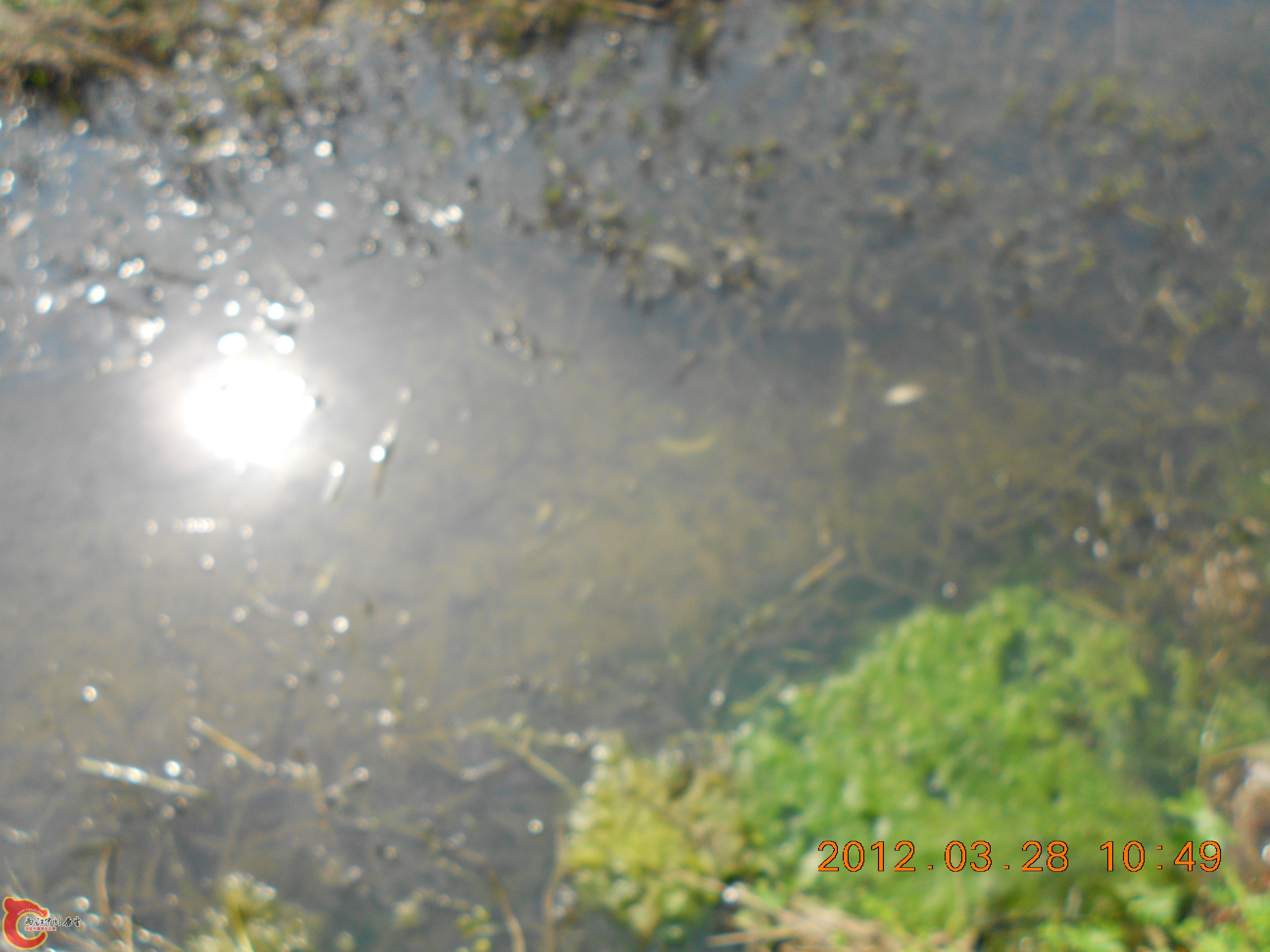 DSCN2941.JPG