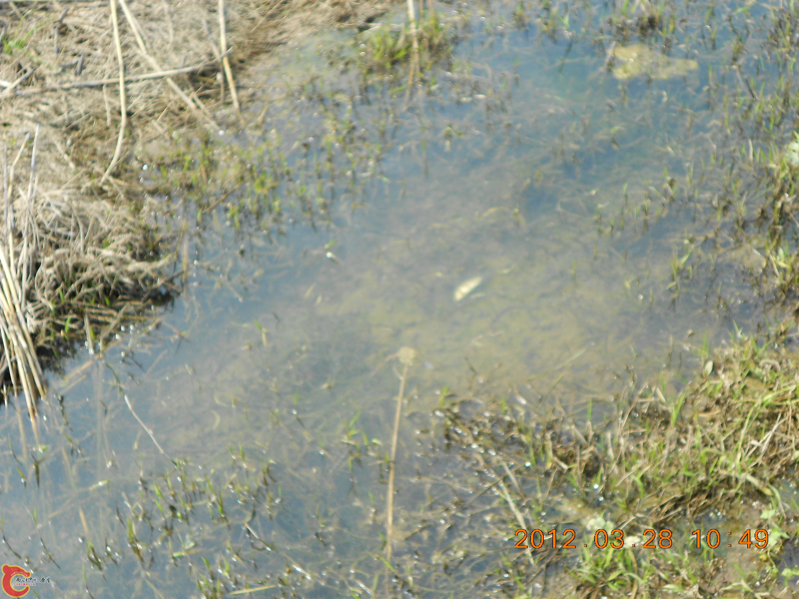 DSCN2942.JPG