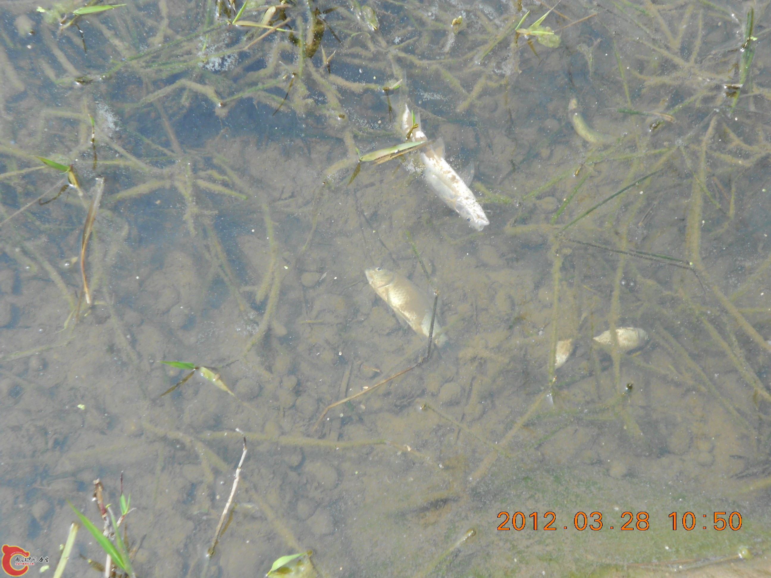 DSCN2945.JPG