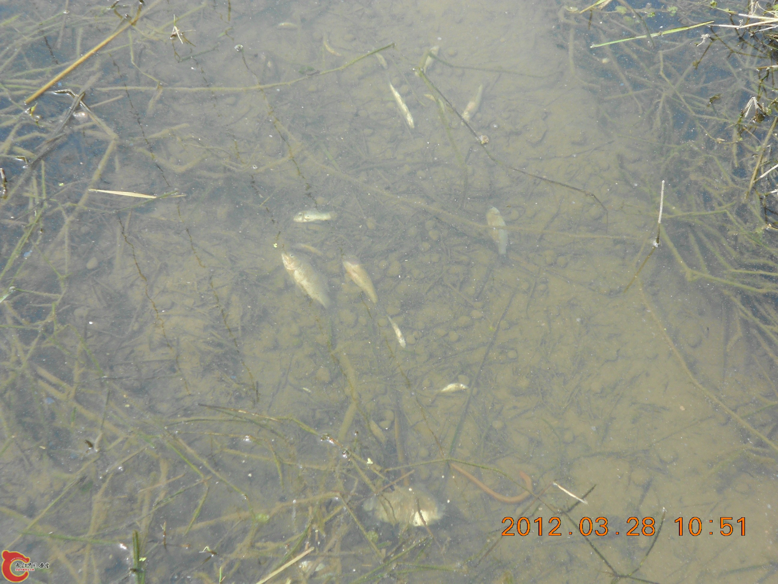 DSCN2946.JPG