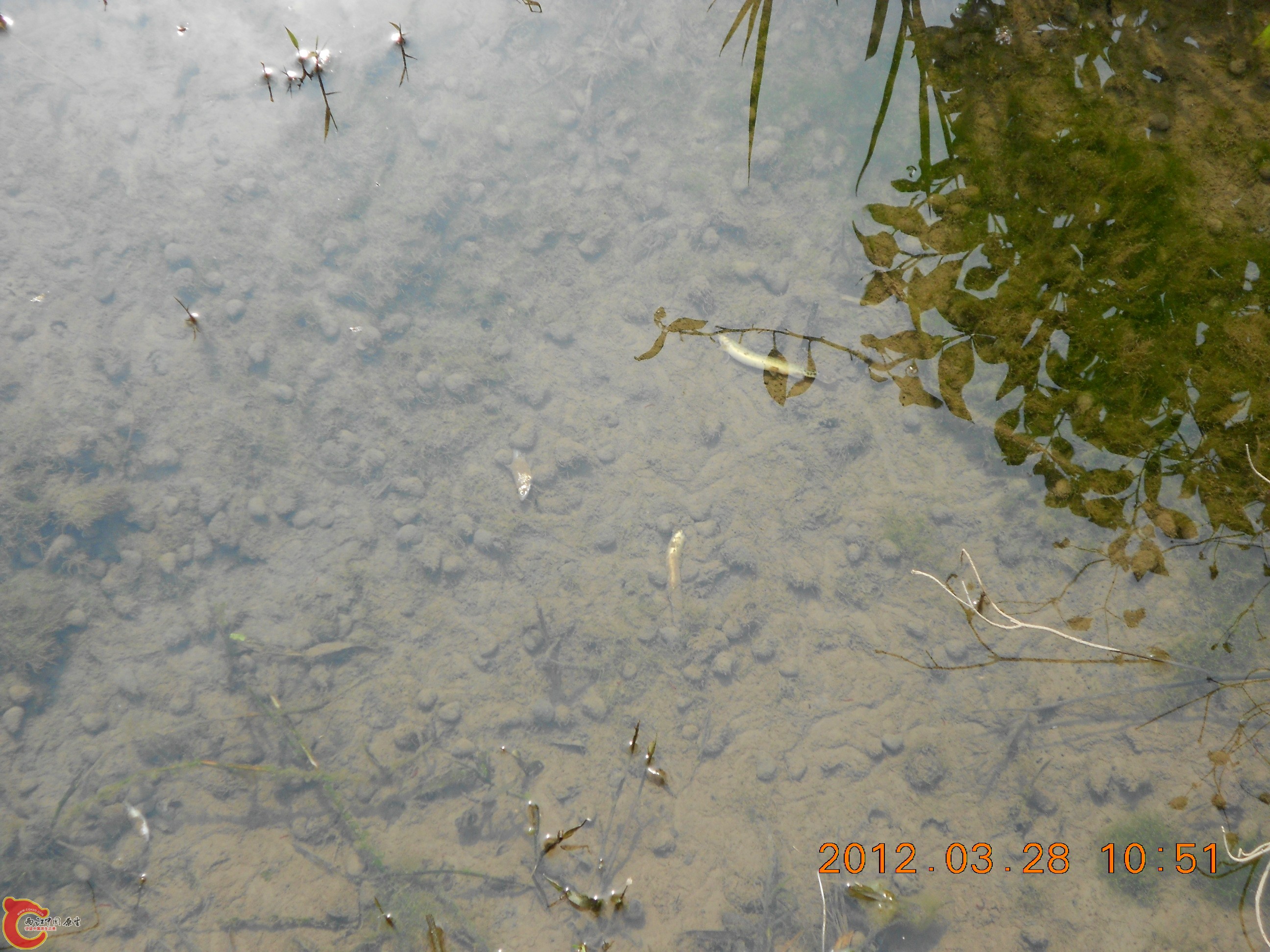 DSCN2947.JPG