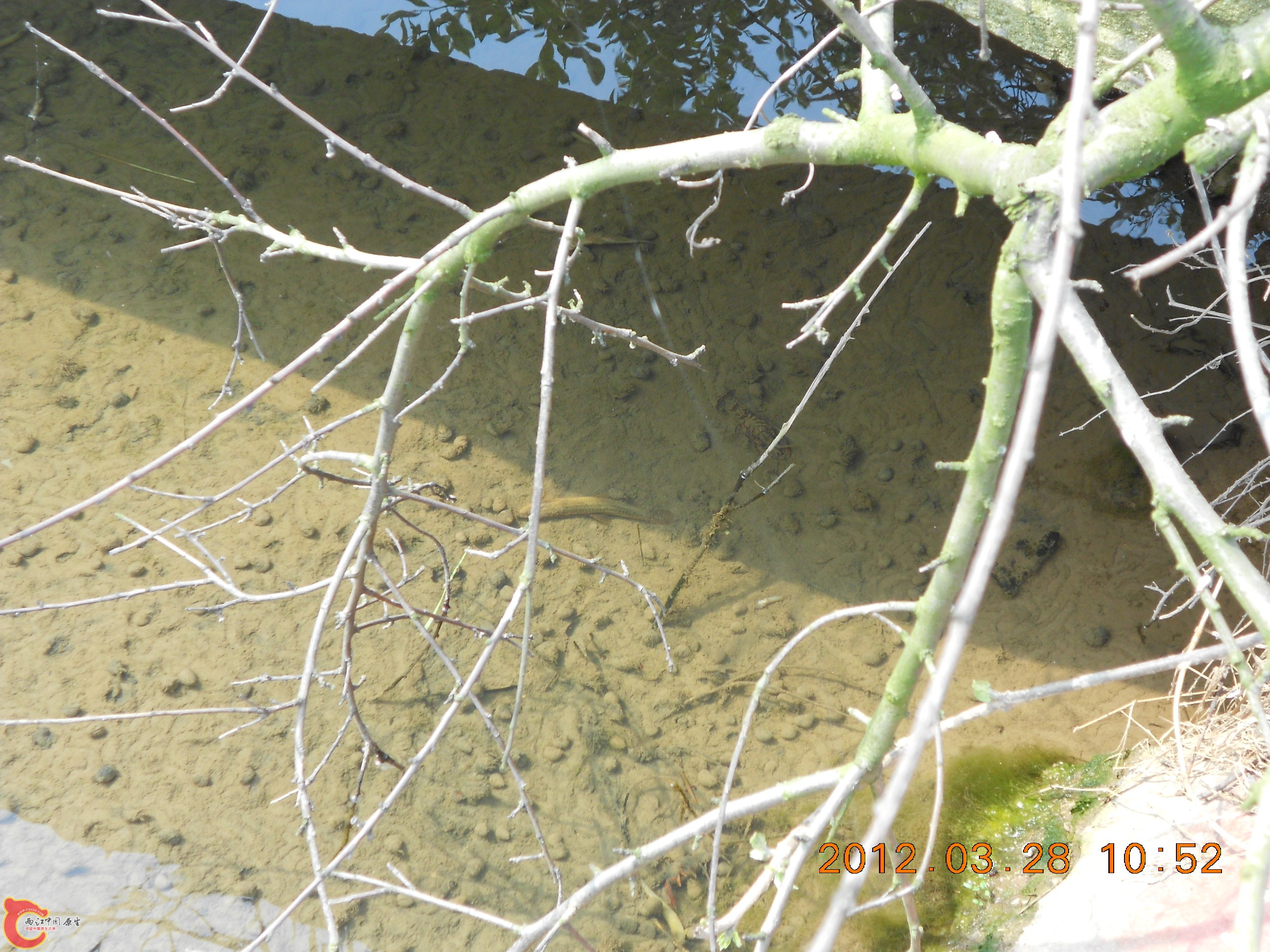 DSCN2948.JPG