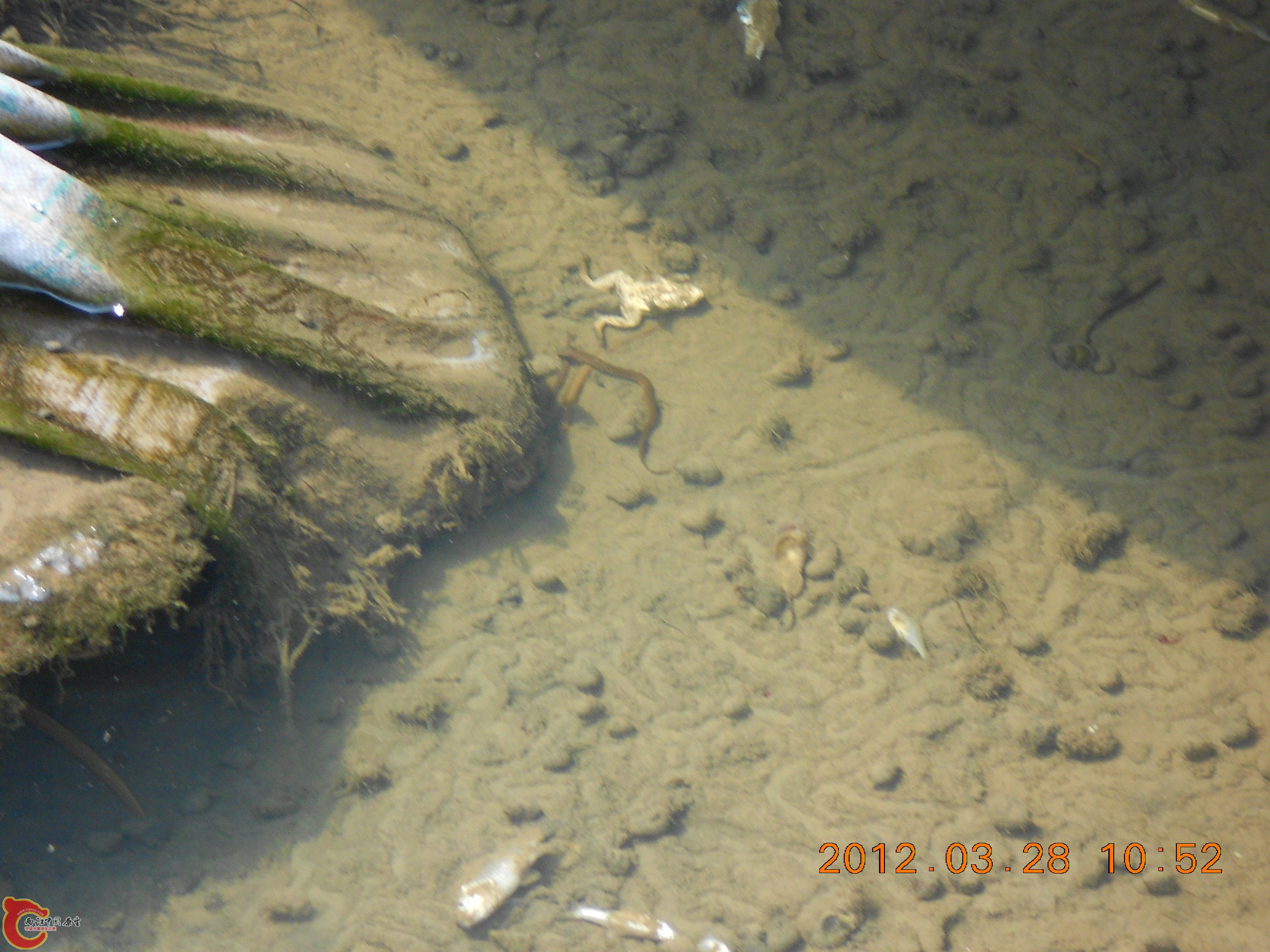 DSCN2949.JPG