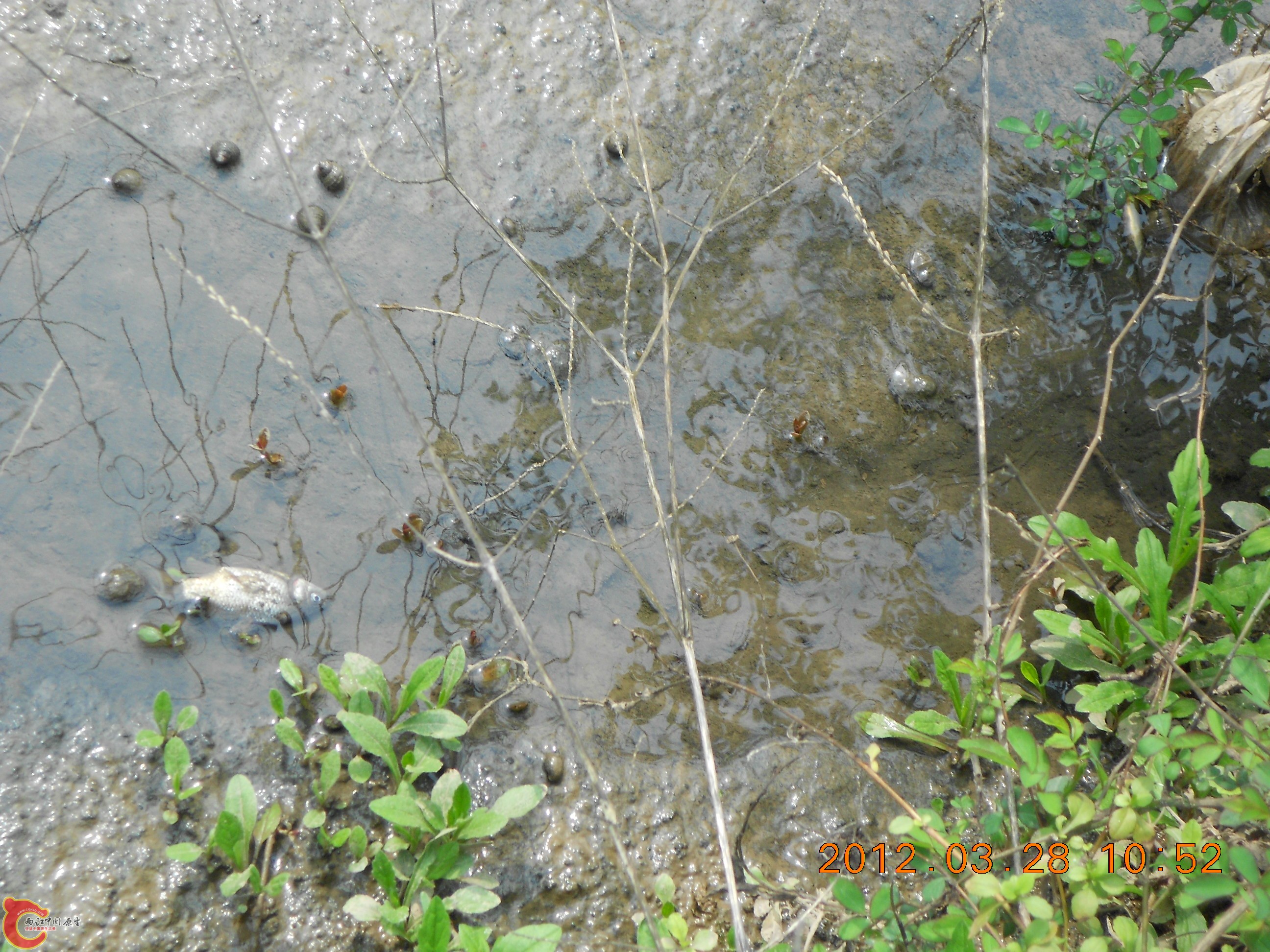 DSCN2951.JPG