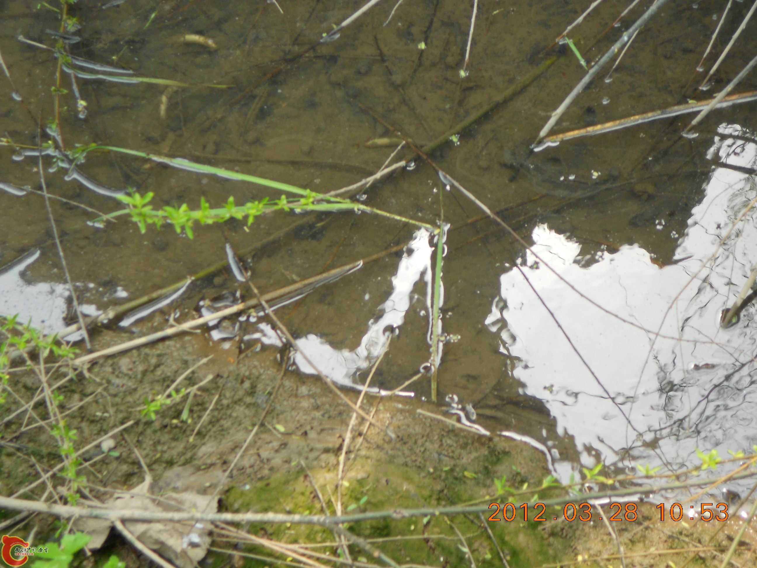 DSCN2953.JPG