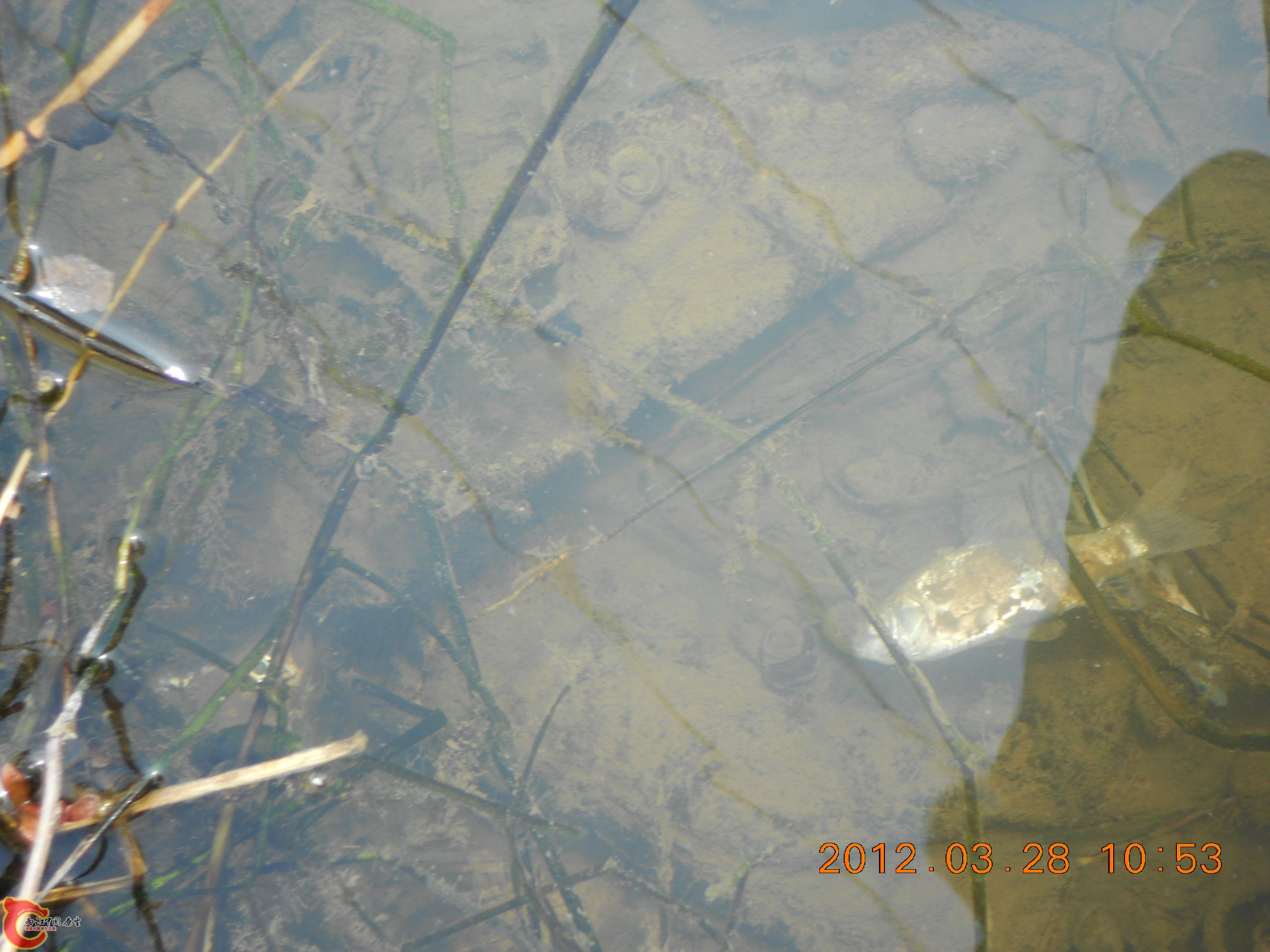 DSCN2955.JPG