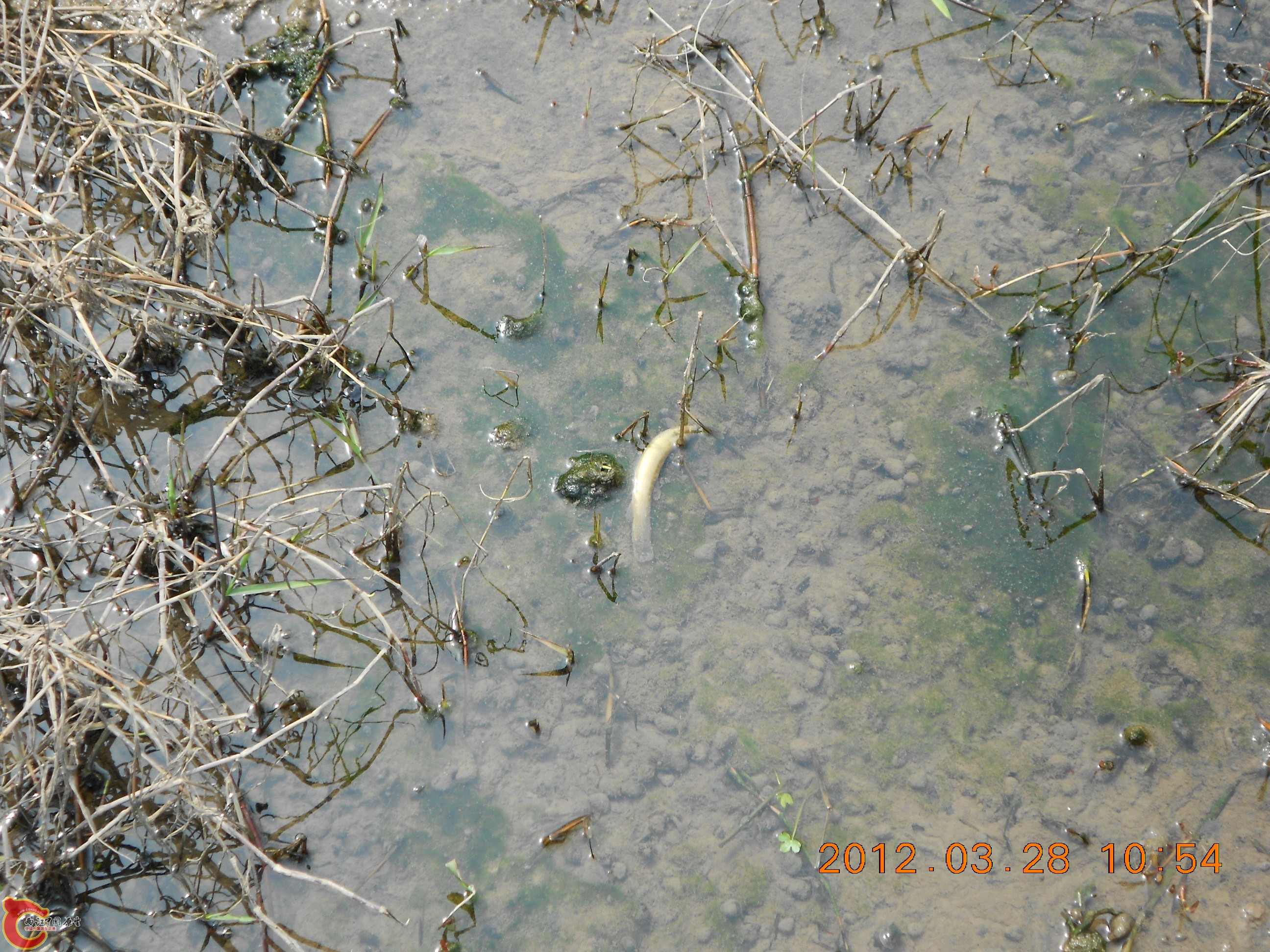 DSCN2959.JPG