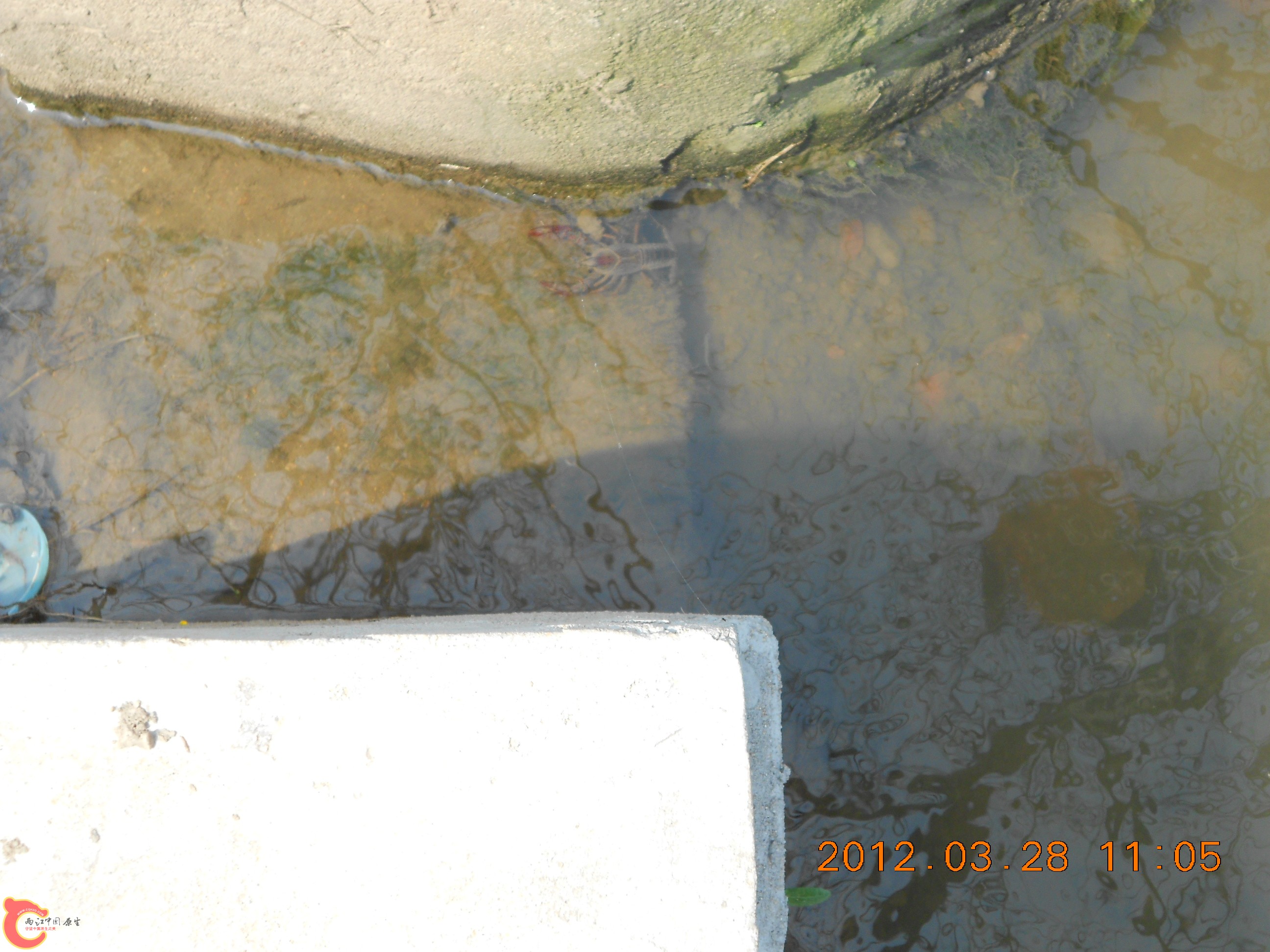 DSCN2966.JPG