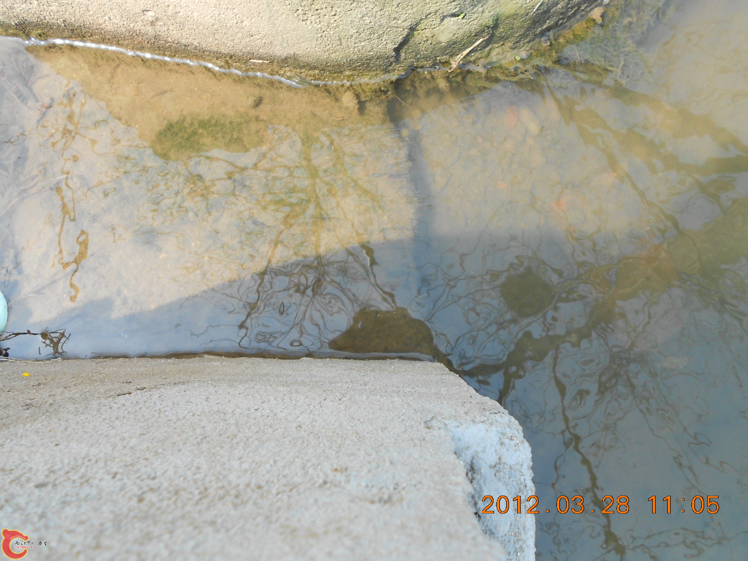 DSCN2967.JPG