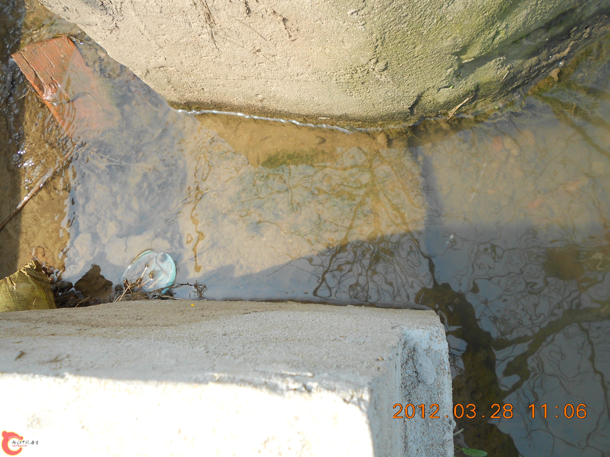 DSCN2968.JPG