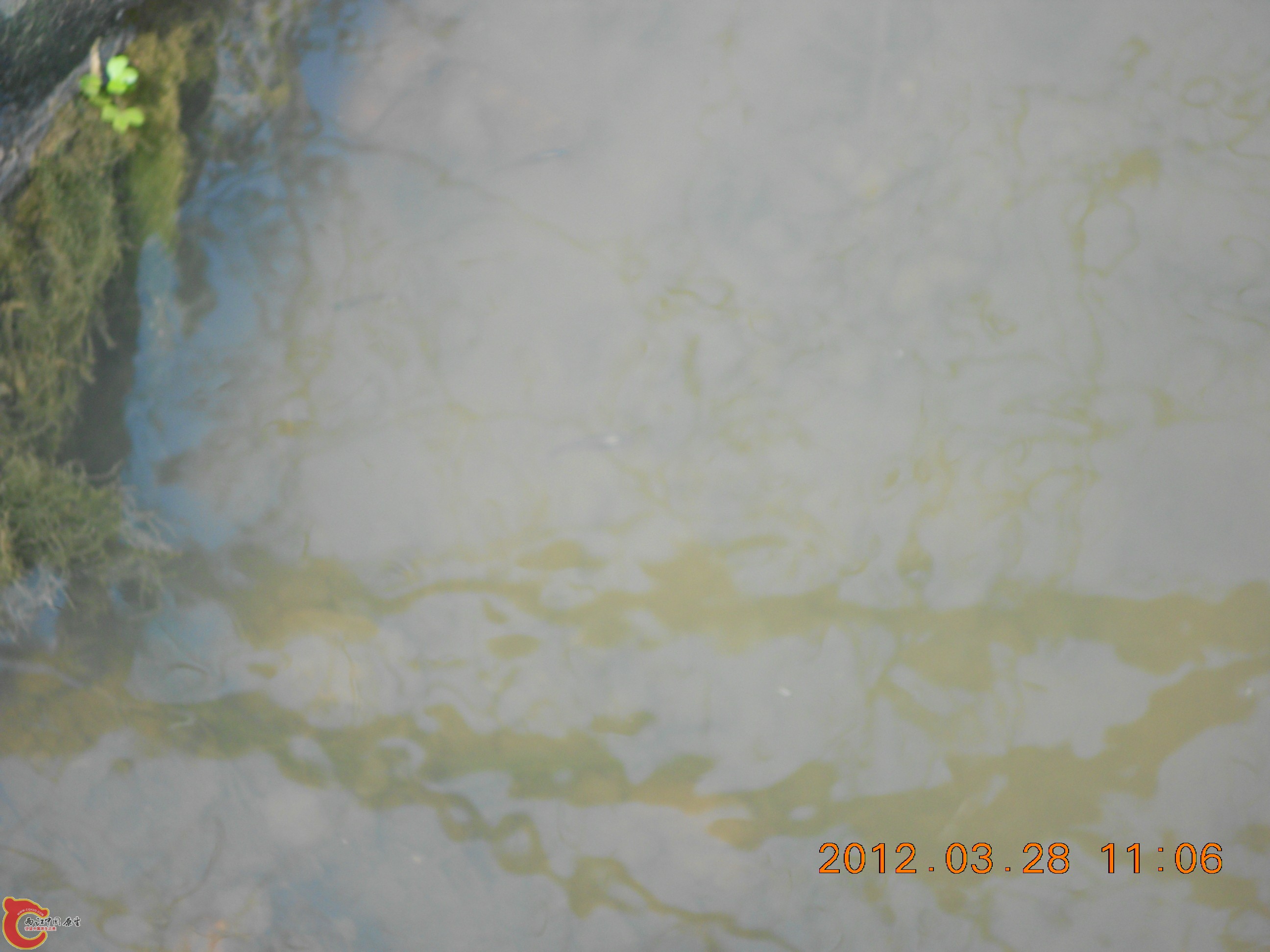 DSCN2969.JPG