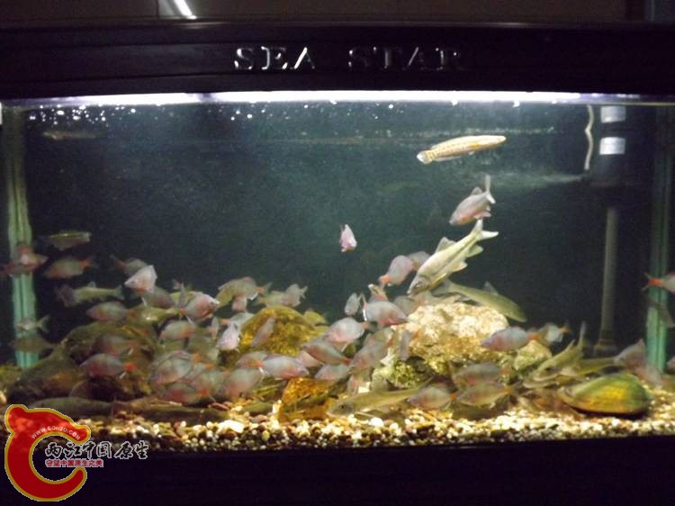 DSCF1003.JPG