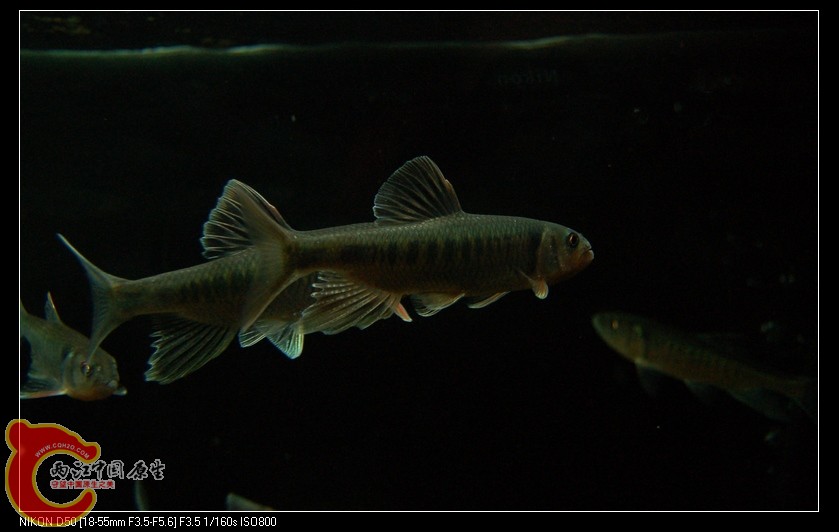 DSC_4169.jpg