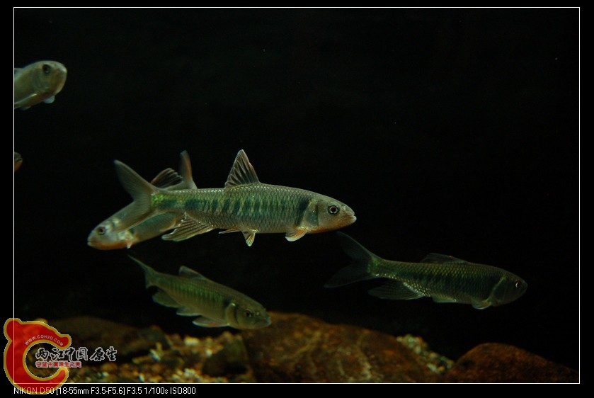 DSC_4193.jpg