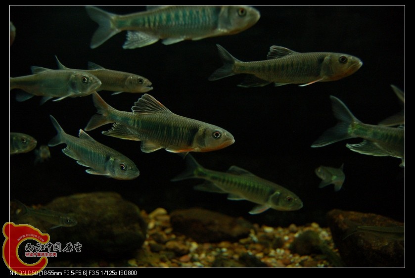DSC_4209.jpg