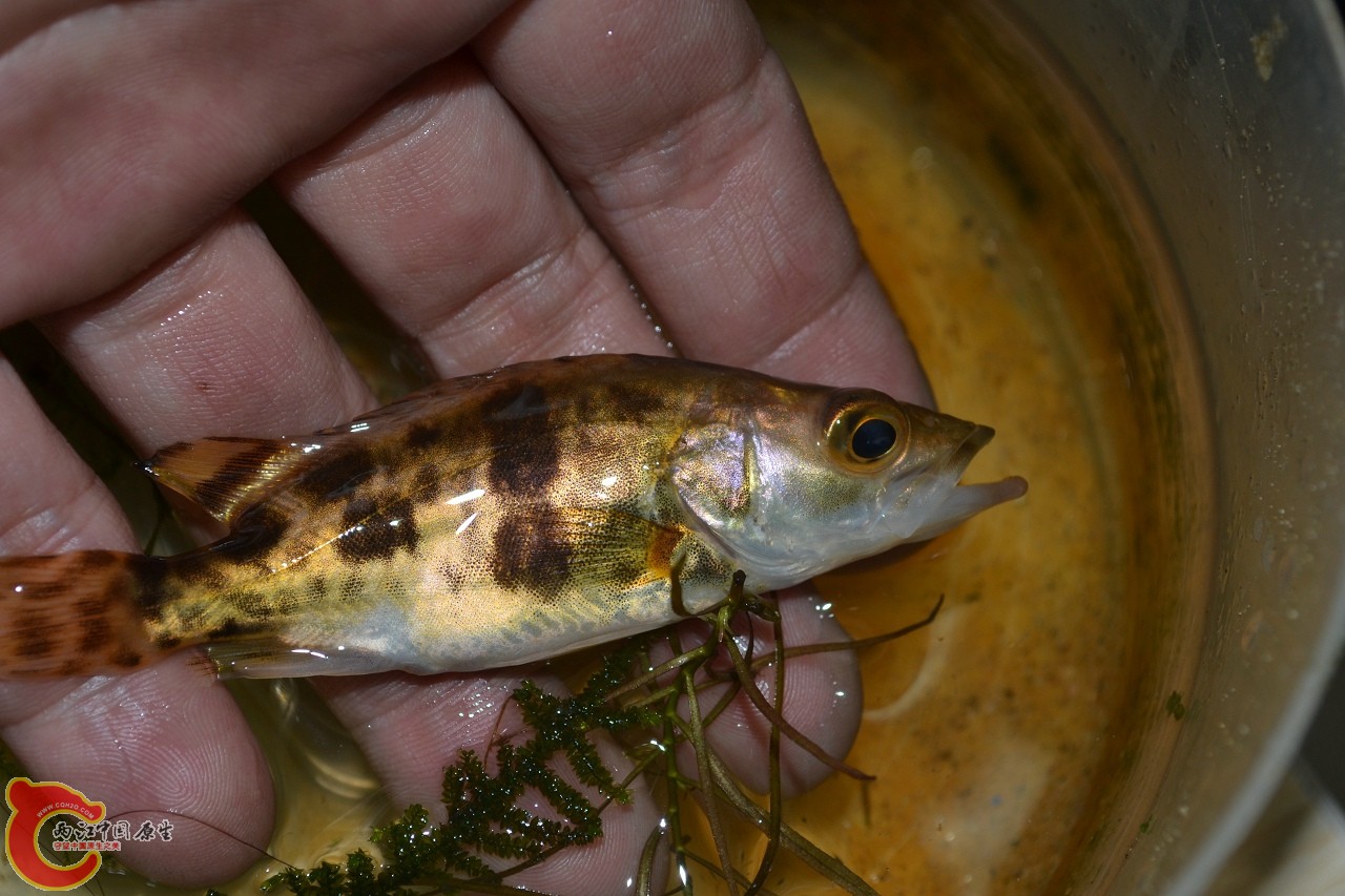20120329_379.jpg