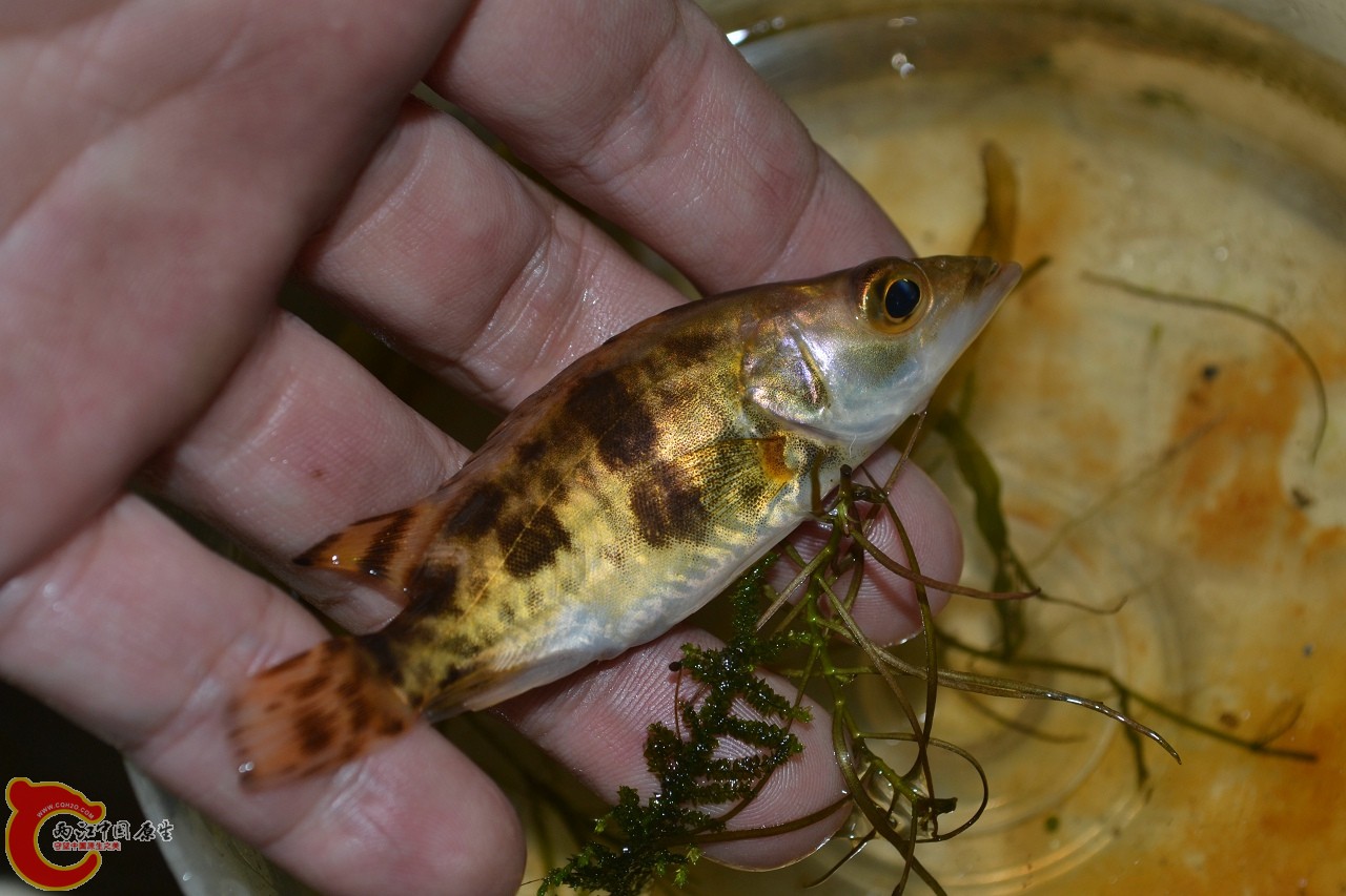 20120329_380.jpg