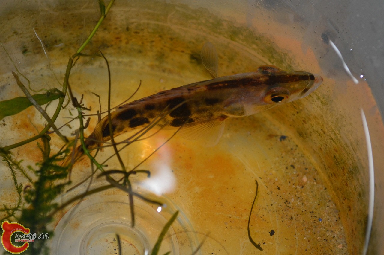 20120329_387.jpg