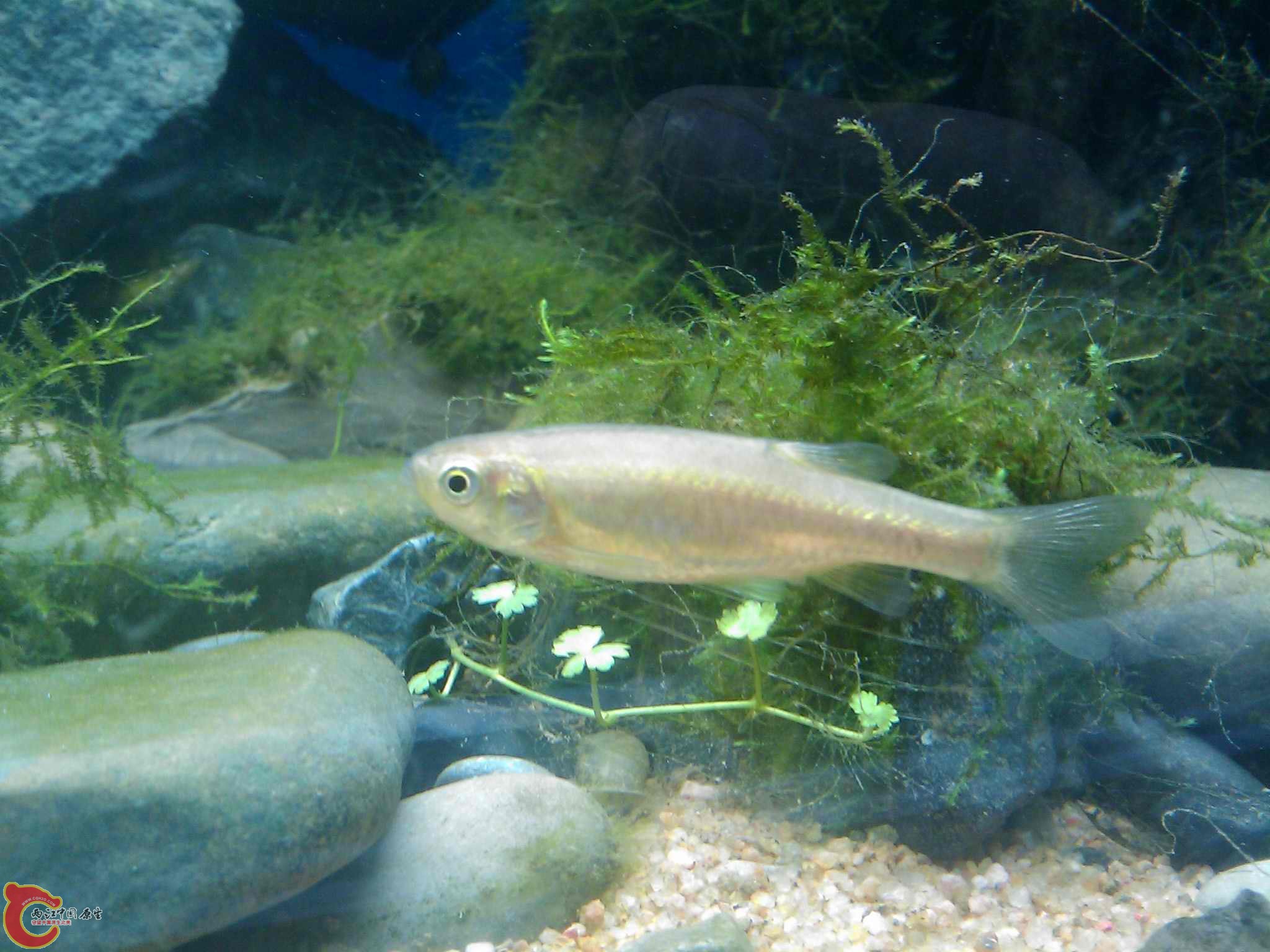 IMAGE_665.jpg