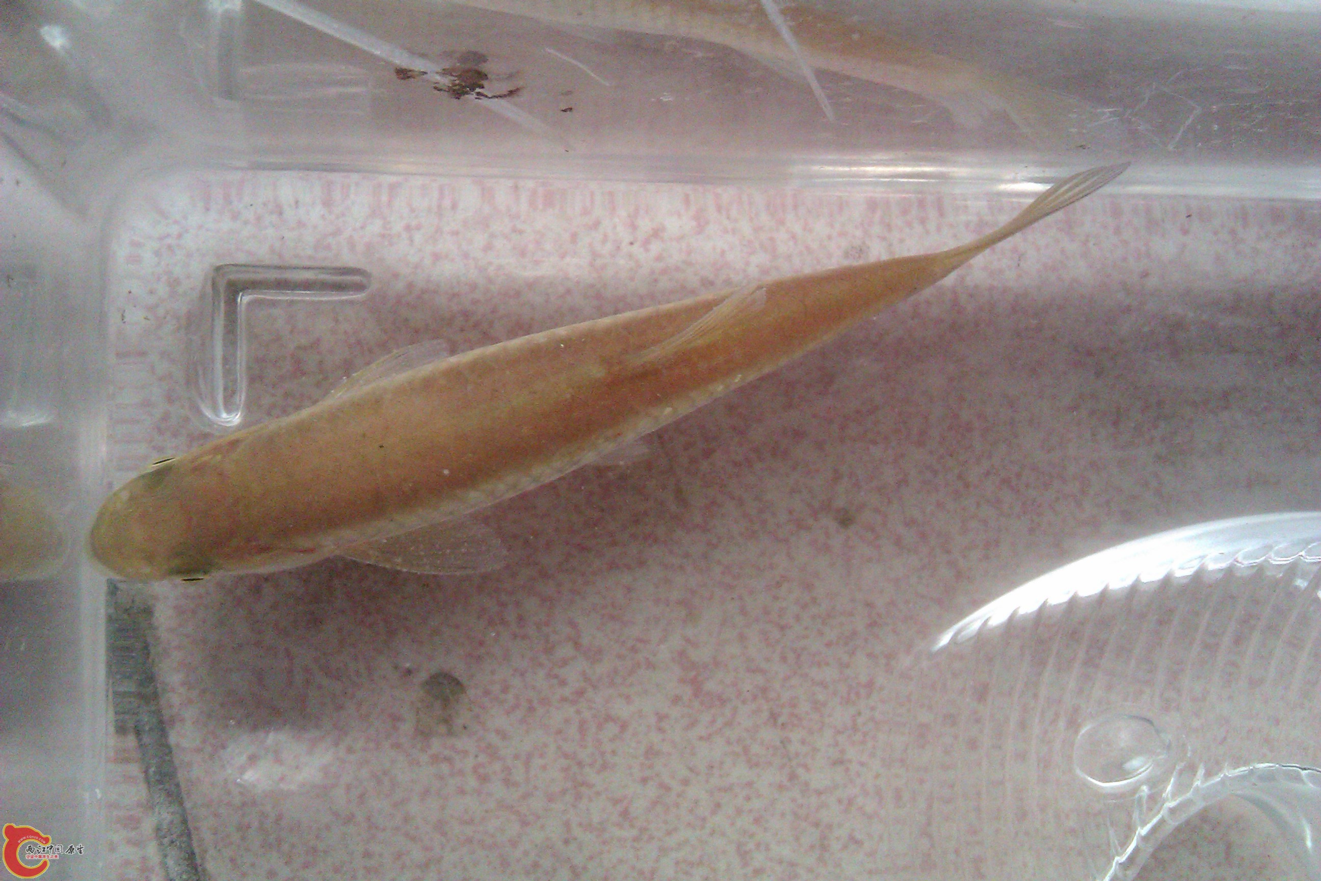 IMAG0288.jpg