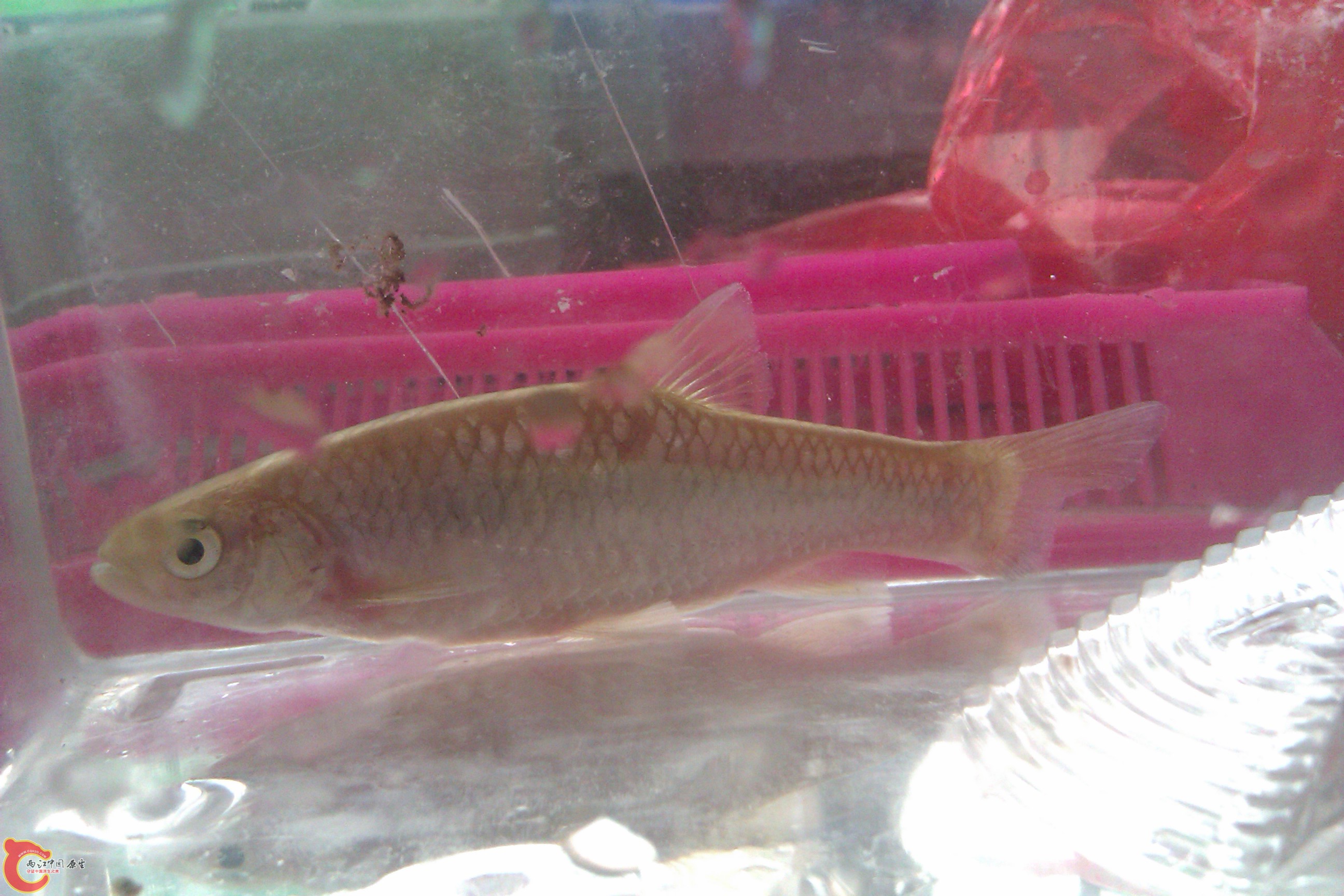 IMAG0285.jpg