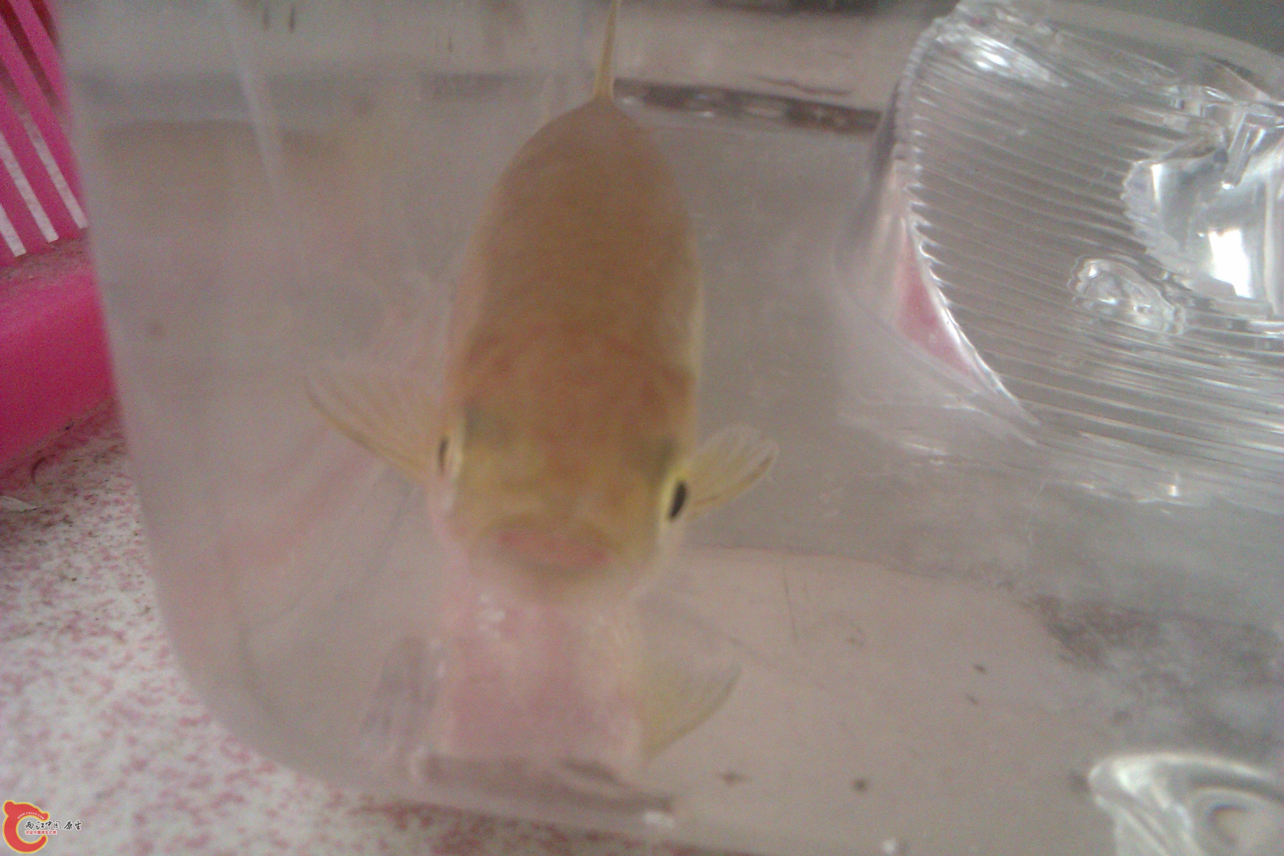 IMAG0286.jpg