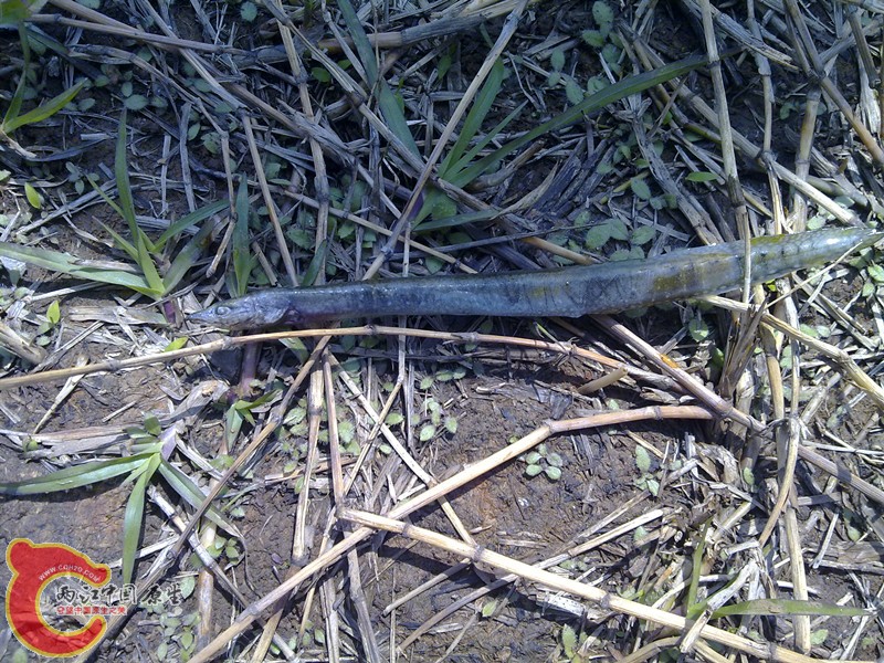 201203311145_副本.jpg