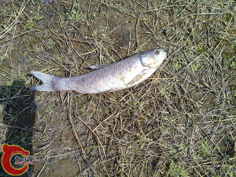 201203311146_副本.jpg