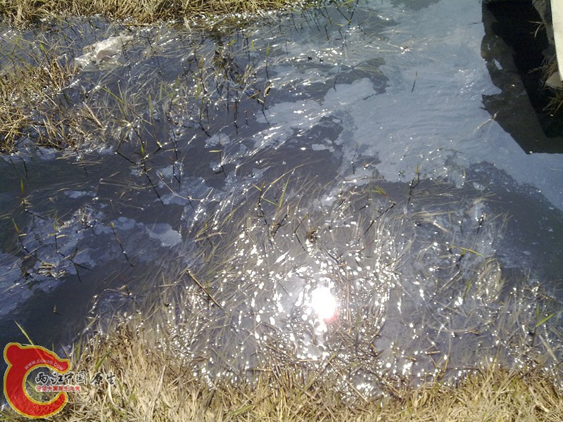 201203311147_副本.jpg