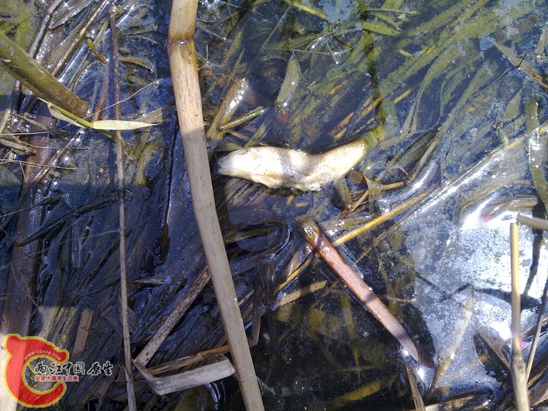 201203311148_副本.jpg