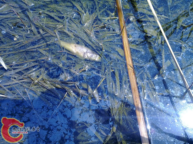 201203311149_副本.jpg