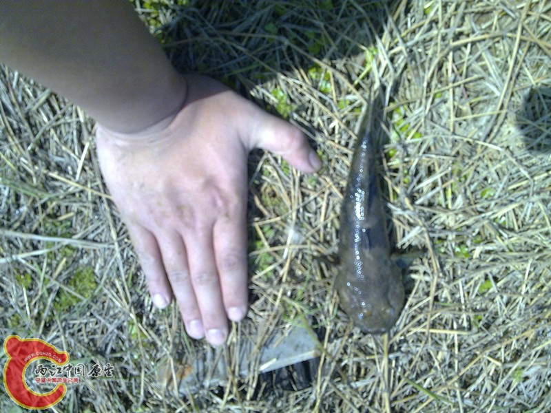 201203311151_副本.jpg