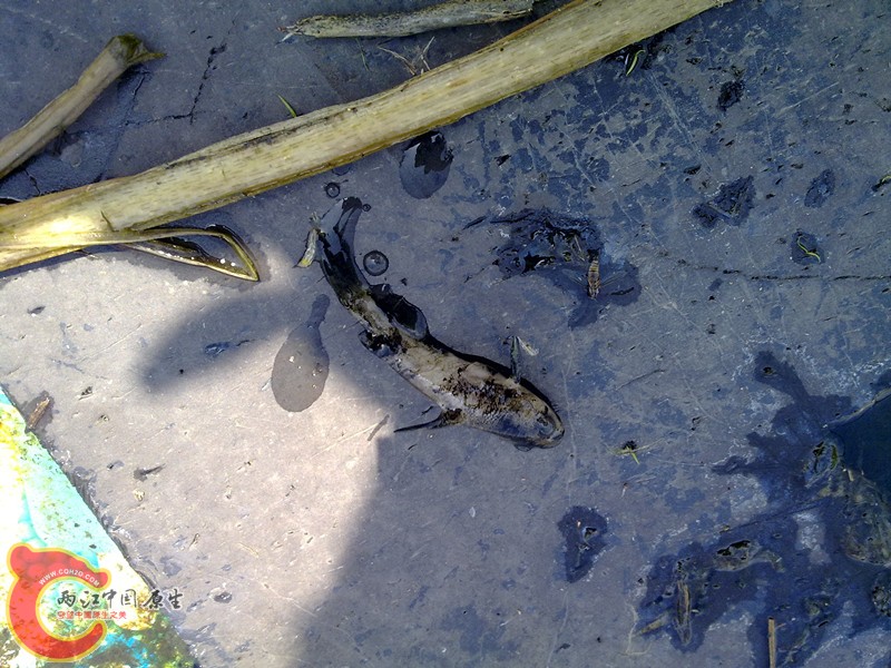 201203311153_副本.jpg