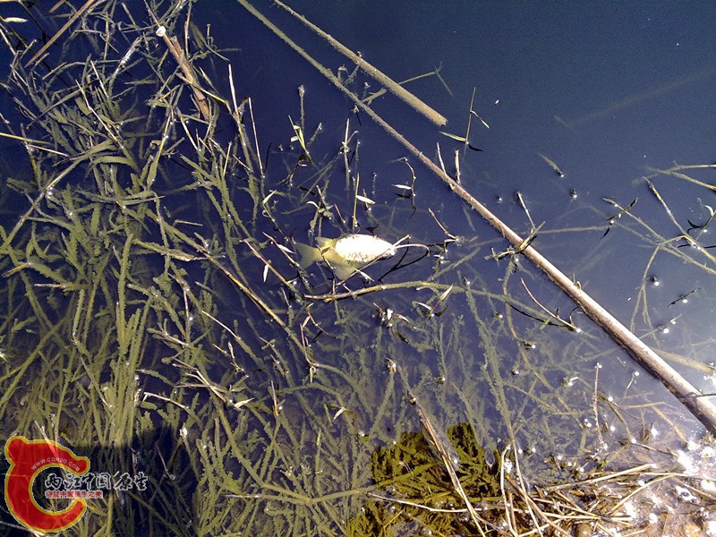 201203311156_副本.jpg