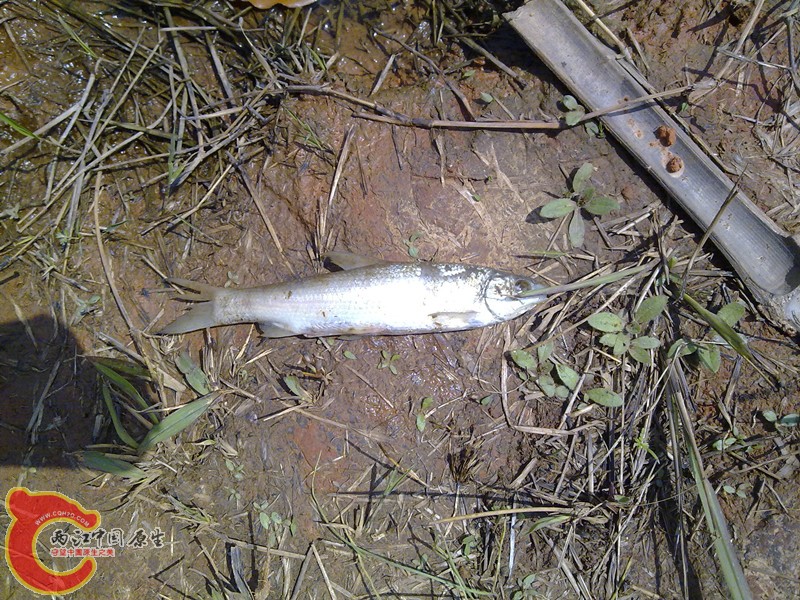 201203311157_旋转_副本.jpg