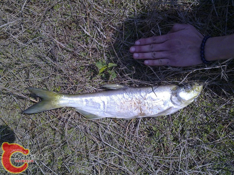 201203311158_副本.jpg