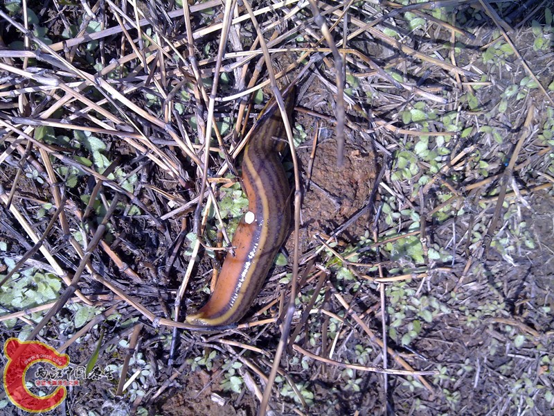 201203311159_副本.jpg