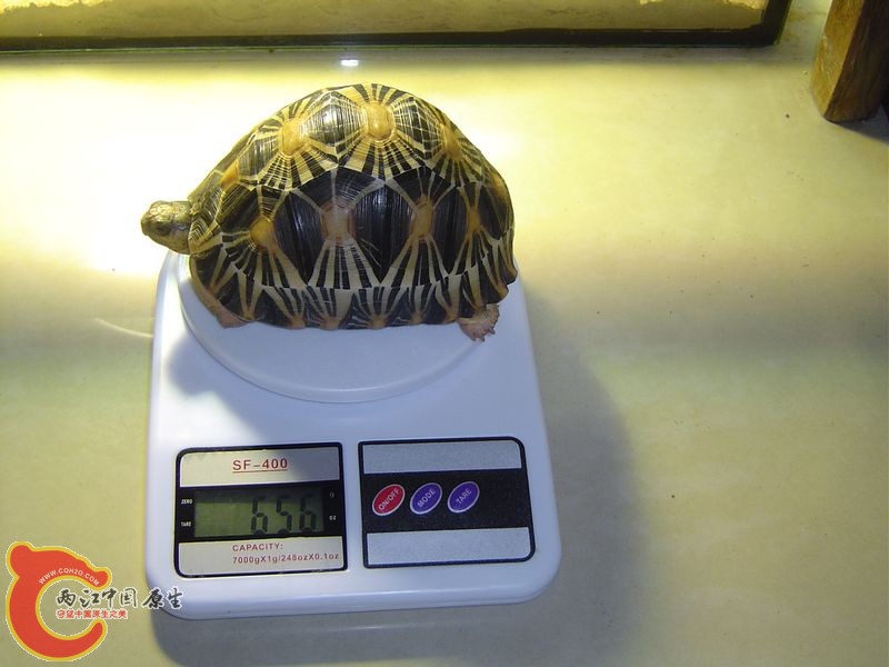 金福20120110.jpg