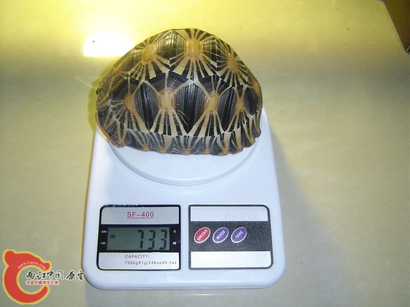 金福20120210.jpg