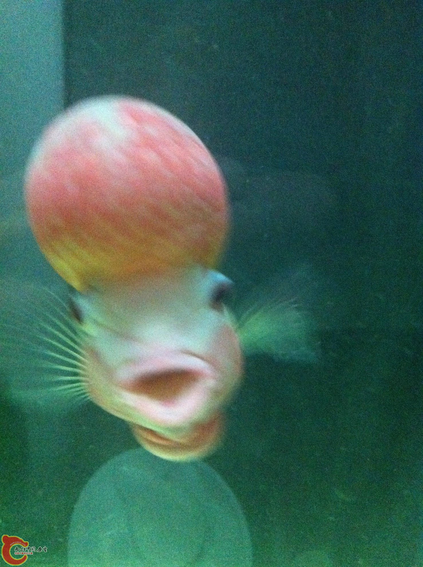 6.JPG