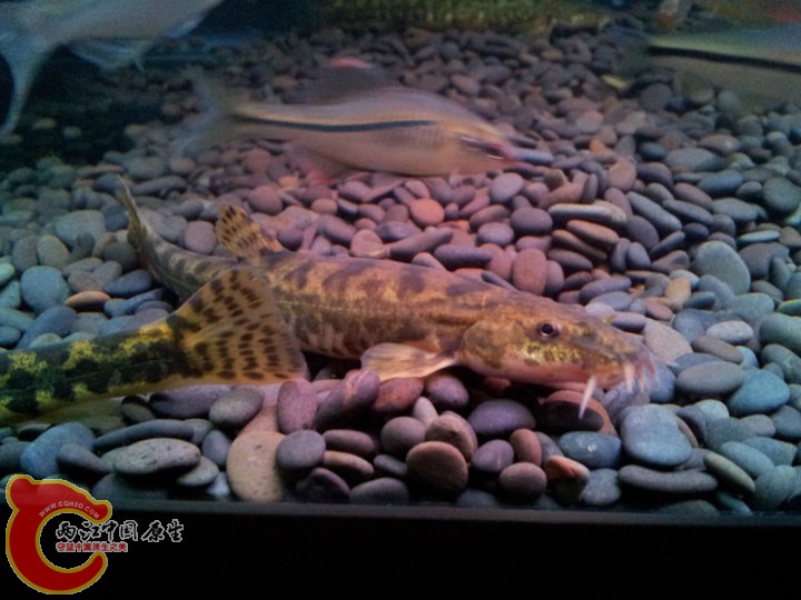 large_Wsqr_089e00000415125b.jpg