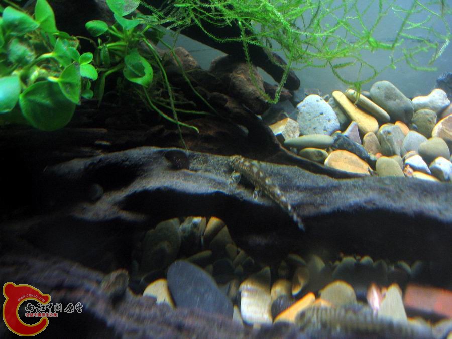 照片 774.jpg