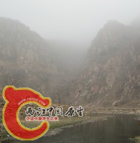 鱼 野采3.jpg