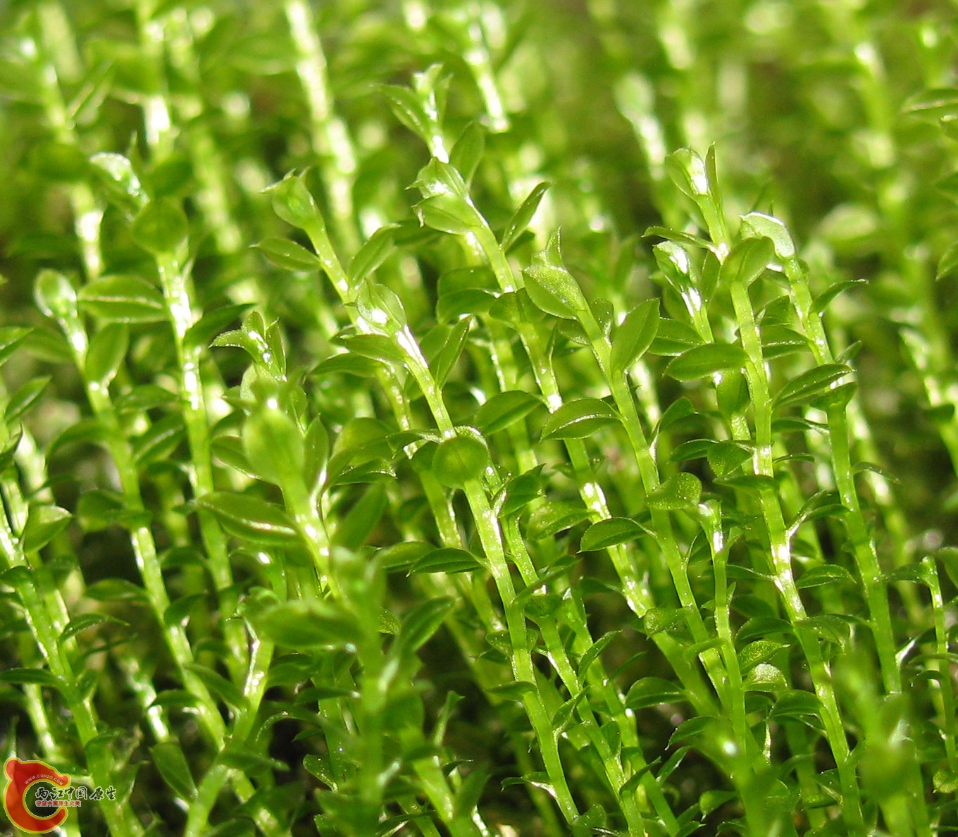 照片 0102.jpg