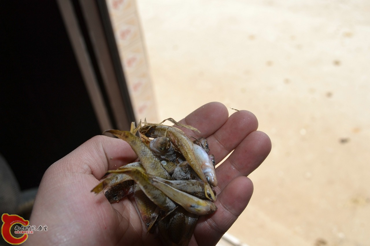 20120402-518.jpg