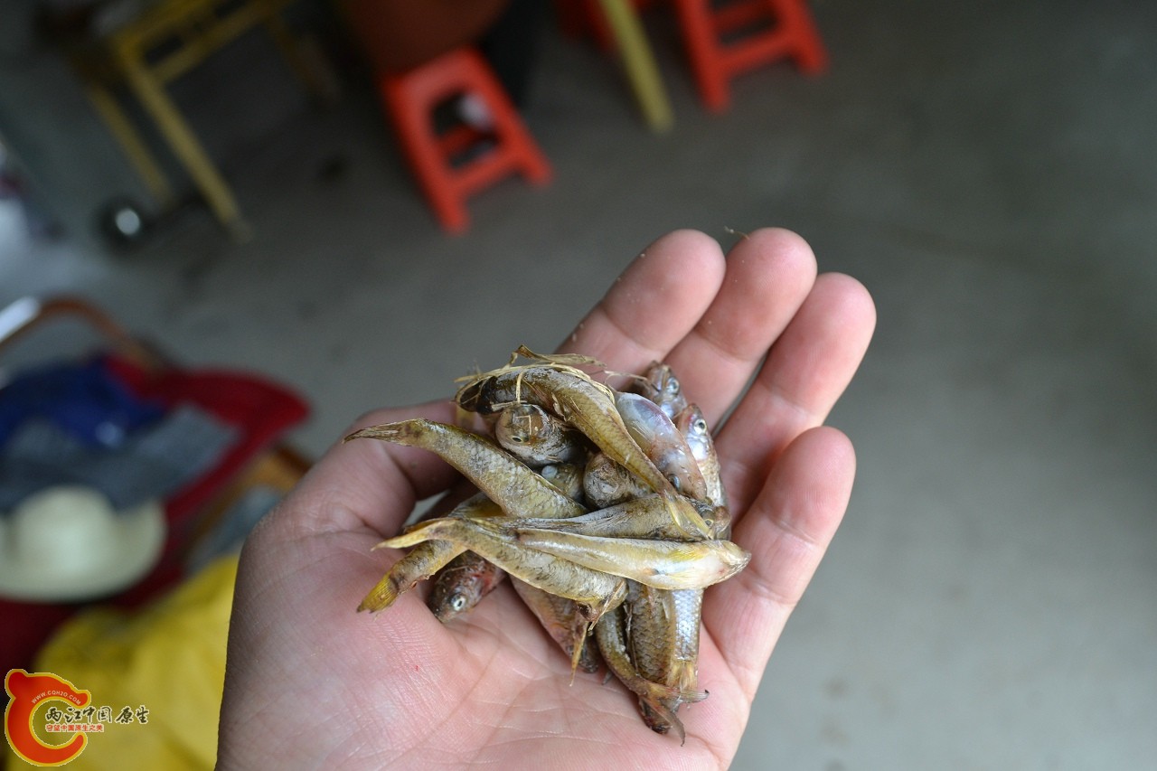 20120402-519.jpg